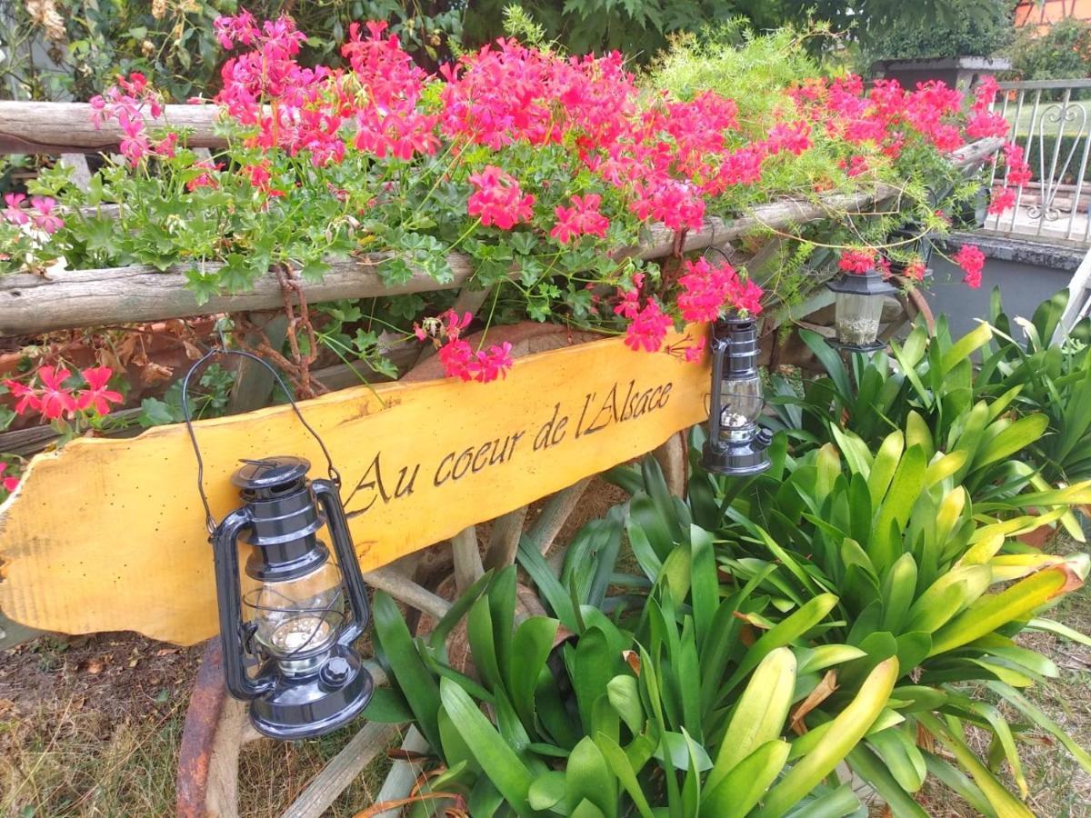 Au Coeur De L'Alsace Villa Eschau Buitenkant foto